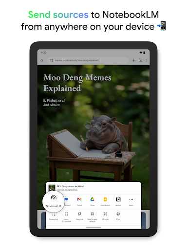 Google NotebookLM screenshot 10