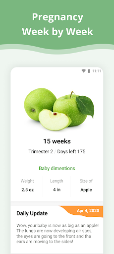 Pregnancy App screenshot 8