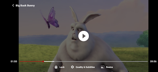 ZoZo Player - URL Video Player screenshot 3