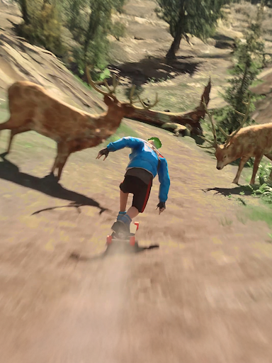 Downhill Racer screenshot 13