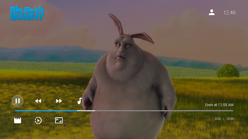 Jellyfin for Android TV screenshot 5