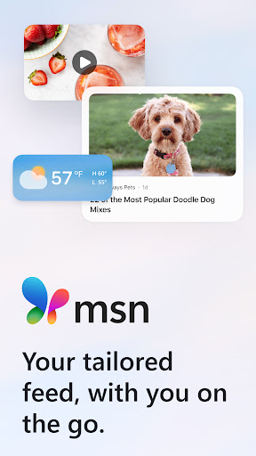 MSN screenshot 4