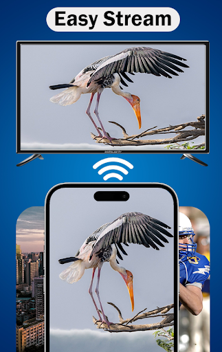 MirrorLink App for Car screenshot 4