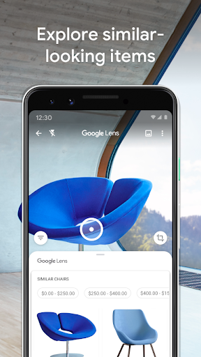Google Lens screenshot 8