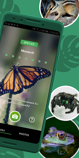 Seek by iNaturalist screenshot 4