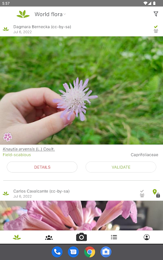PlantNet Plant Identification screenshot 4