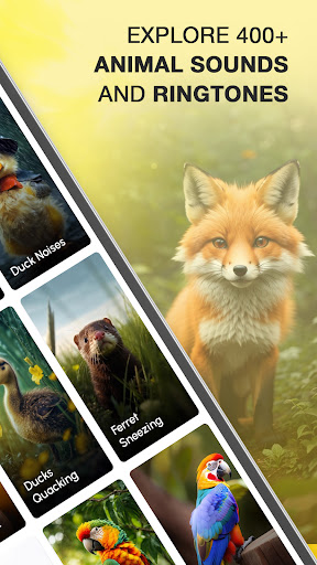 Animal Sounds and Ringtones screenshot 4