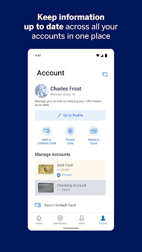 Amex screenshot 3