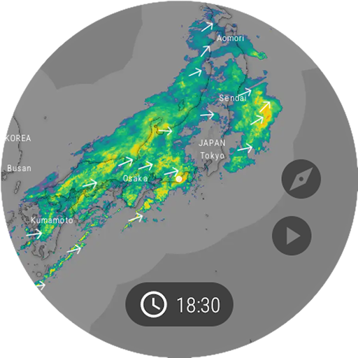 Windy.com - Weather Forecast screenshot 22