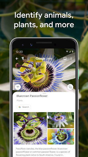 Google Lens screenshot 5