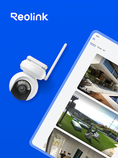 Reolink screenshot 5