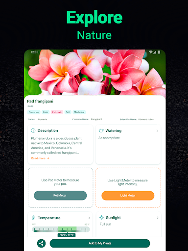 Plantum - Plant Identifier screenshot 9