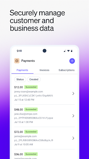 Stripe Dashboard screenshot 5