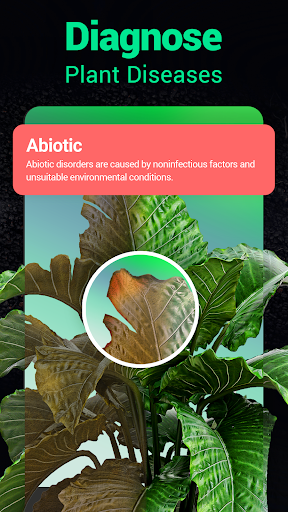 Plantum - Plant Identifier screenshot 2
