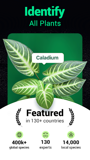 Plantum - Plant Identifier screenshot 1