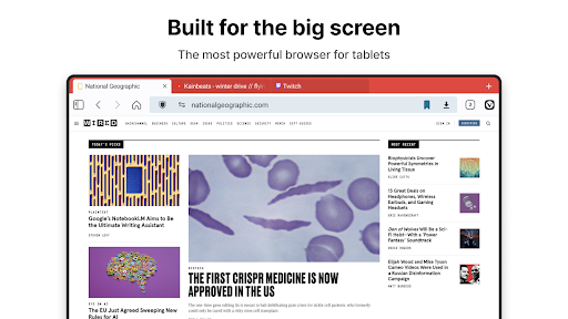 Vivaldi Browser - Fast & Safe screenshot 5