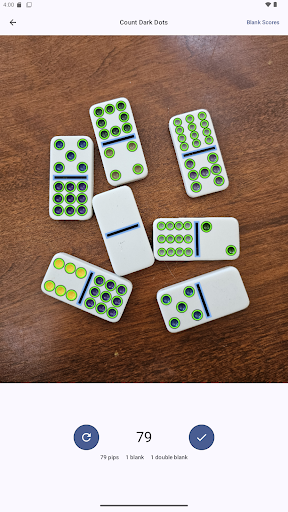 Domino Dot Counter screenshot 14
