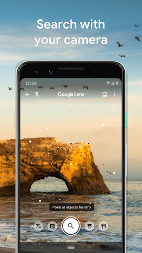 Google Lens screenshot 4