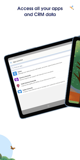 Salesforce screenshot 6