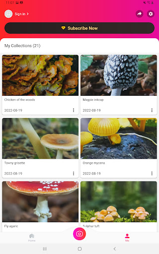 Picture Mushroom - Mushroom ID screenshot 6