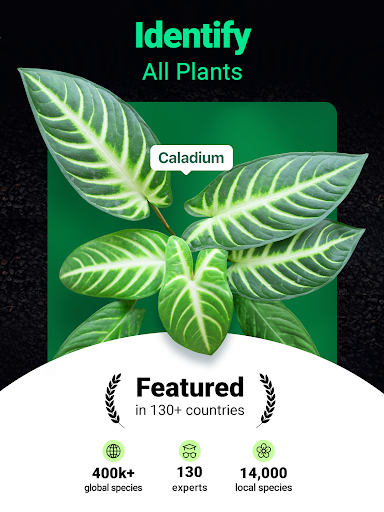 Plantum - Plant Identifier screenshot 12