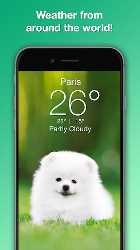 Weather Puppy - App & Widget screenshot 4