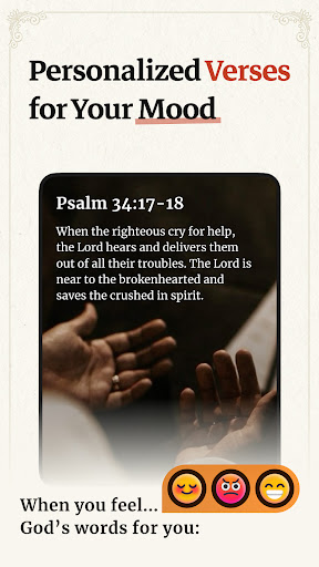 Bible Offline-KJV Holy Bible screenshot 10