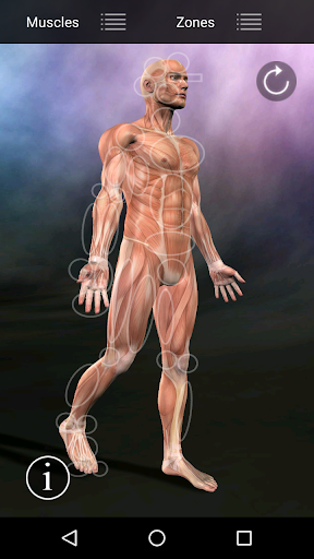 Muscle Trigger Point Anatomy screenshot 8