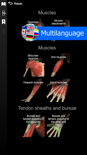 Anatomy Learning By Dr. Blanco screenshot 22