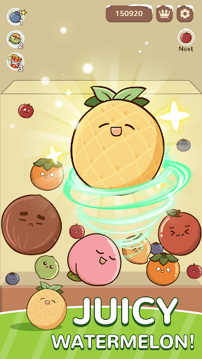 Fruit Fusion Fun screenshot 5