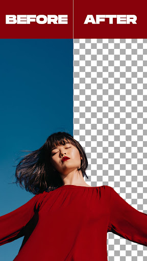 Remove Background From Video screenshot 4