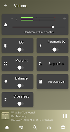 USB Audio Player PRO screenshot 4