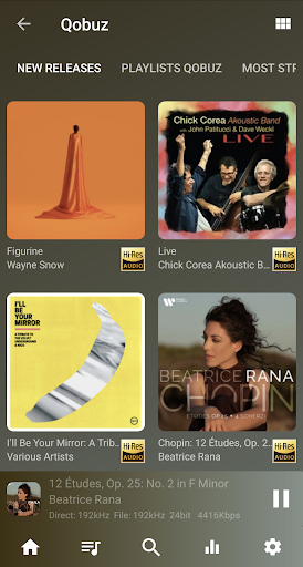 USB Audio Player PRO screenshot 16