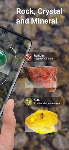 Rock Identifier: Stone ID screenshot 4