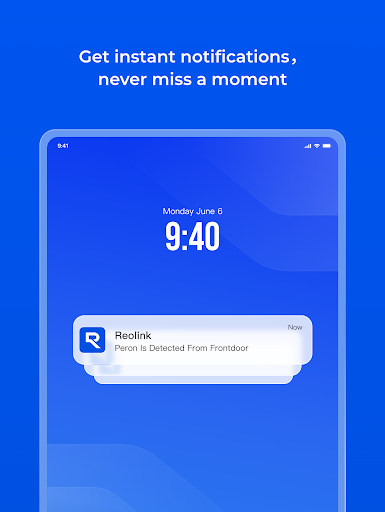 Reolink screenshot 6