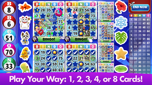 Bingo Classic - Bingo Games screenshot 11