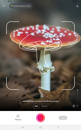 Picture Mushroom - Mushroom ID screenshot 15