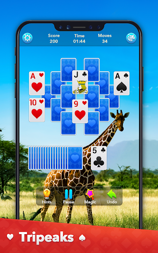 Solitaire Collection screenshot 9