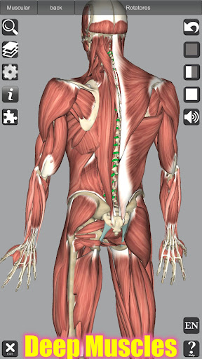3D Anatomy screenshot 4