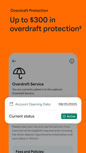 Netspend screenshot 3