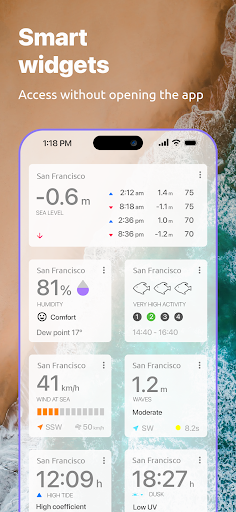 Nautide: Tides, Wind, Waves + screenshot 6