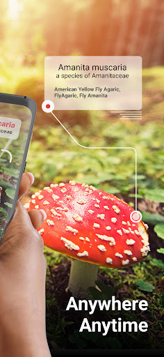 Picture Mushroom - Mushroom ID screenshot 7