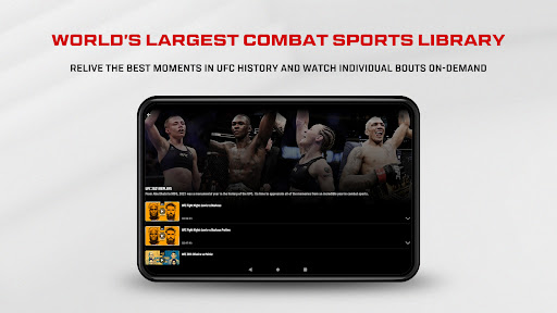 UFC screenshot 22