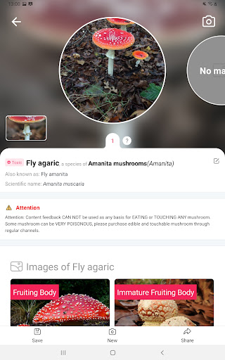 Picture Mushroom - Mushroom ID screenshot 8