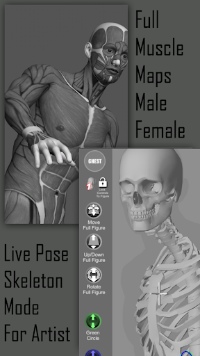 Pose Tool 3D screenshot 21