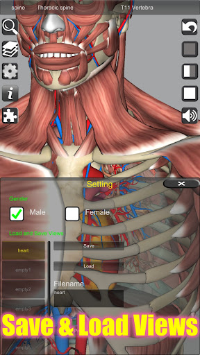 3D Anatomy screenshot 1