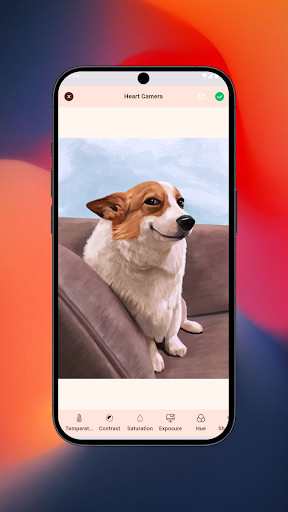 Heart Camera screenshot 4