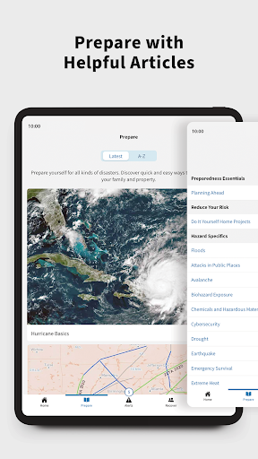 FEMA screenshot 13