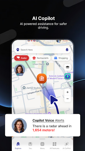Radar GO-X: HUD, GPS, Maps screenshot 5