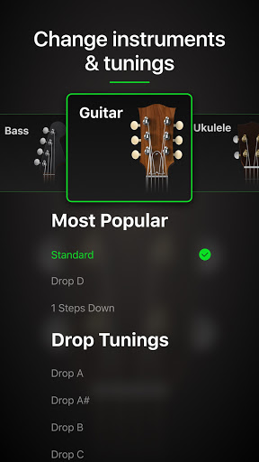 Guitar Tuner Pro: Music Tuning screenshot 1